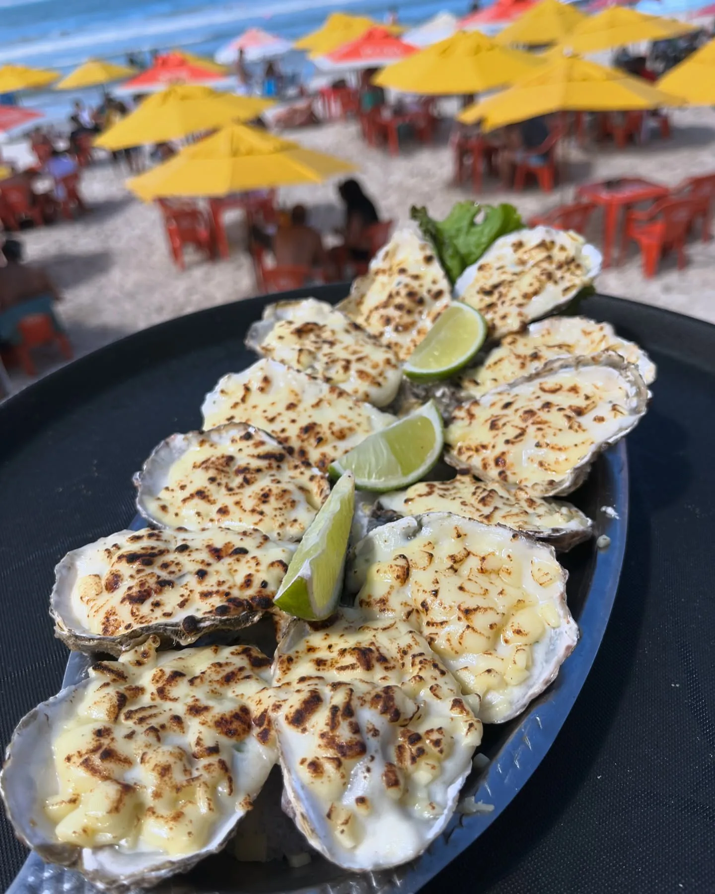 Ostras gratinadas com vista para a praia